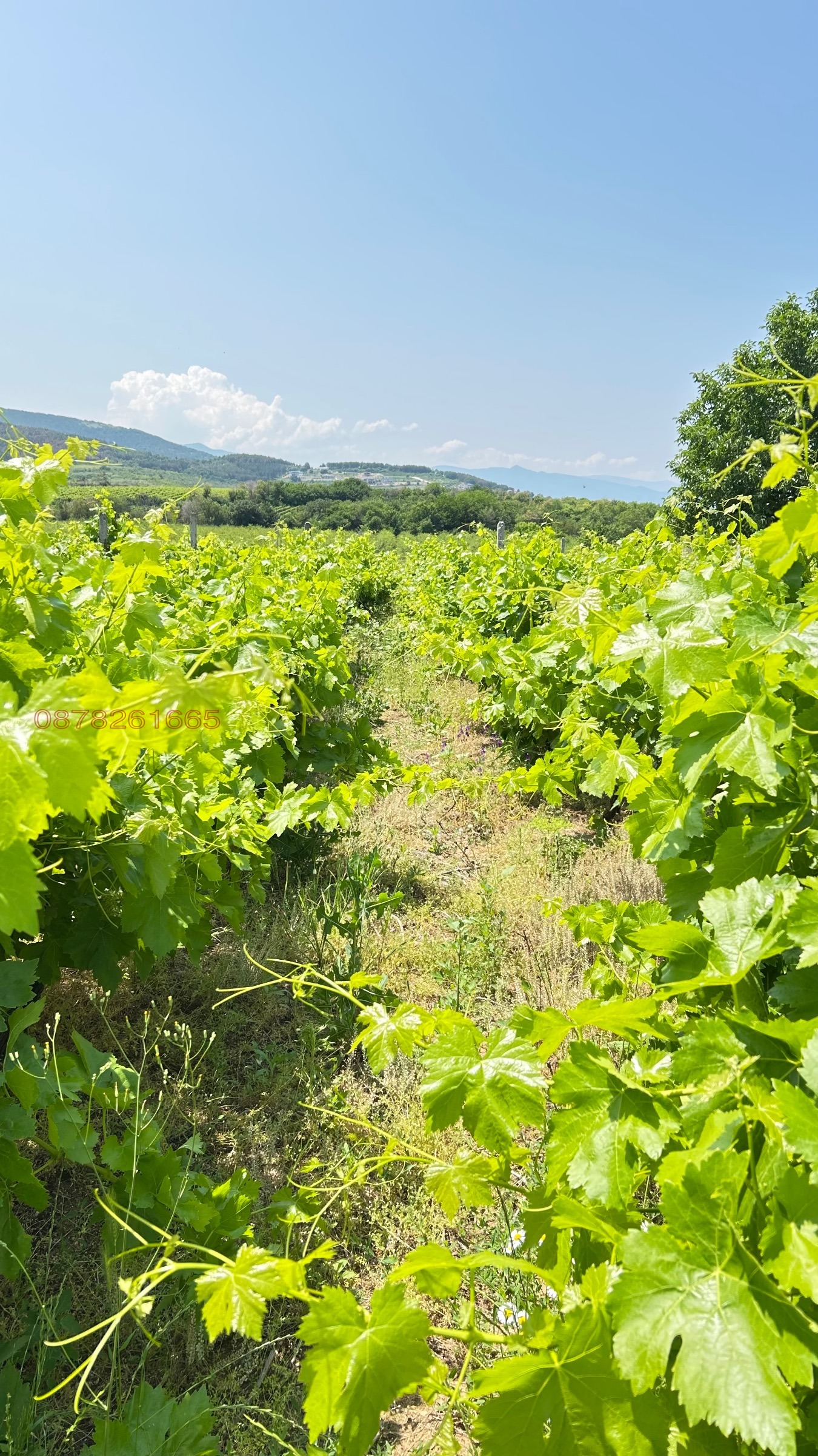 ������� ���������� ���� | Imot.bg � ����������� 2