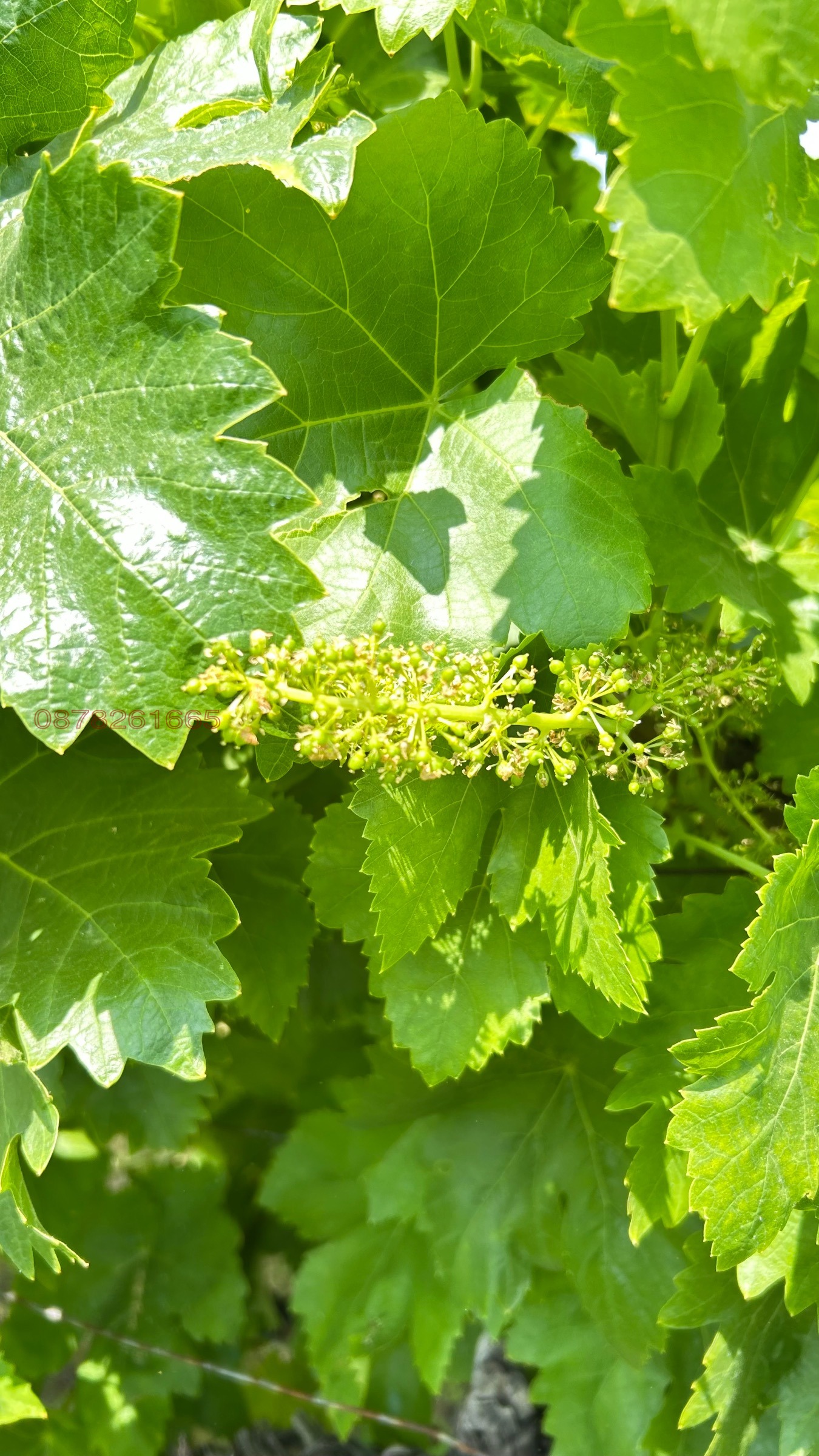 ������� ���������� ���� | Imot.bg � ����������� 4