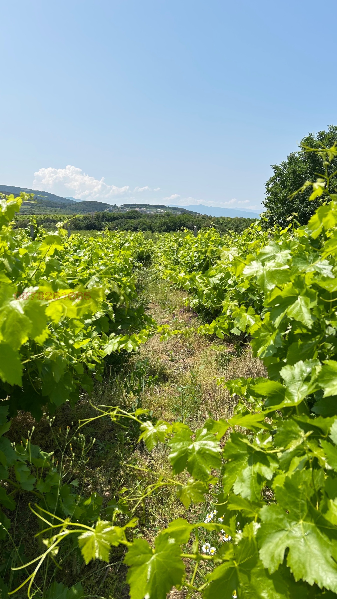 ������� ���������� ���� | Imot.bg � ����������� 3