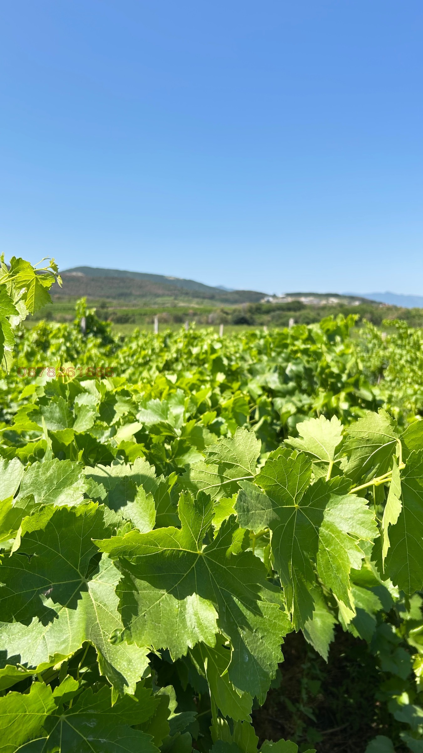 ������� ���������� ���� | Imot.bg � ����������� 1