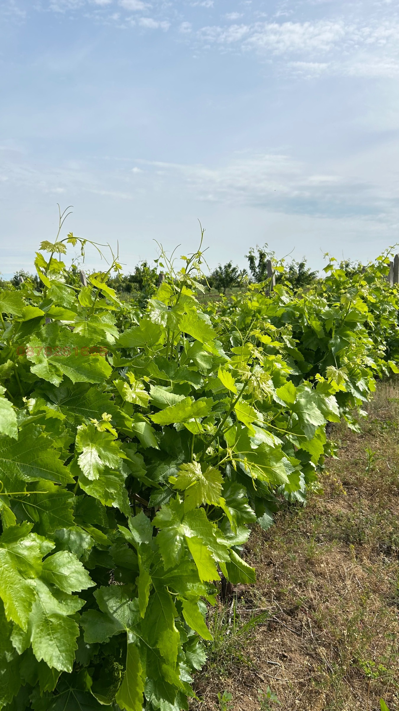 ������� ���������� ���� | Imot.bg � ����������� 7