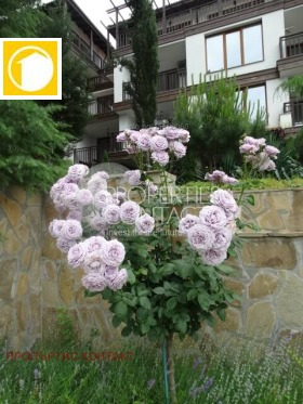 ������� 1-����� | Imot.bg � ����� ������ 8