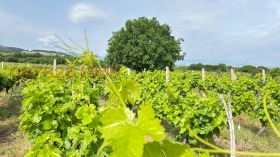 ������� ���������� ���� | Imot.bg � ����� ������ 6