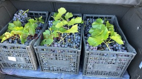 ������� ���������� ���� | Imot.bg � ����� ������ 5