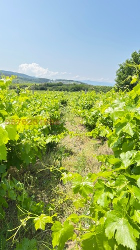 ������� ���������� ���� | Imot.bg � ����� ������ 2