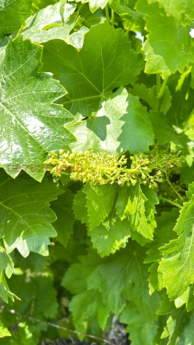 ������� ���������� ���� | Imot.bg � ����� ������ 4