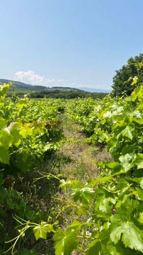 ������� ���������� ���� | Imot.bg � ����� ������ 3