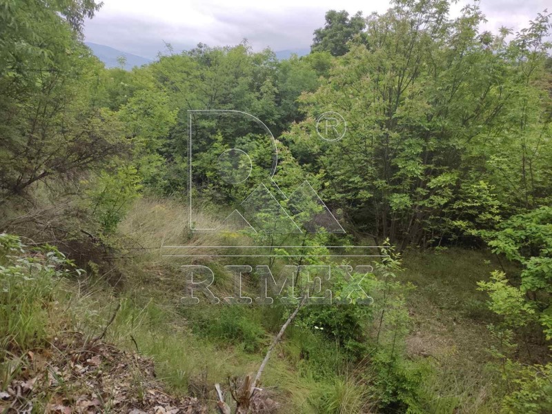 For Sale  Plot region Plovdiv , Hrabrino , 884 sq.m | 46533862 - image [2]