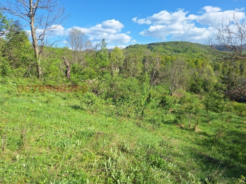 Продава ПАРЦЕЛ, с. Костел, област Велико Търново, снимка 5 - Парцели - 53422680