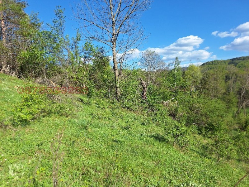 Продава ПАРЦЕЛ, с. Костел, област Велико Търново, снимка 8 - Парцели - 53422680