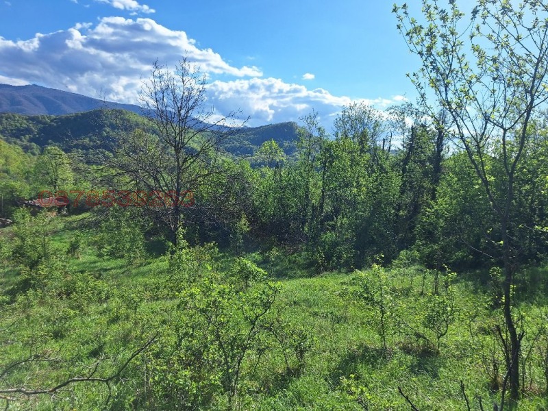 Продава ПАРЦЕЛ, с. Костел, област Велико Търново, снимка 3 - Парцели - 53422680