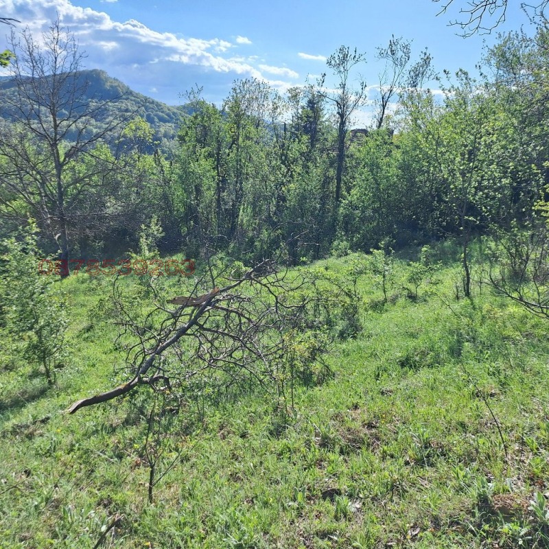 Продава ПАРЦЕЛ, с. Костел, област Велико Търново, снимка 4 - Парцели - 53422680