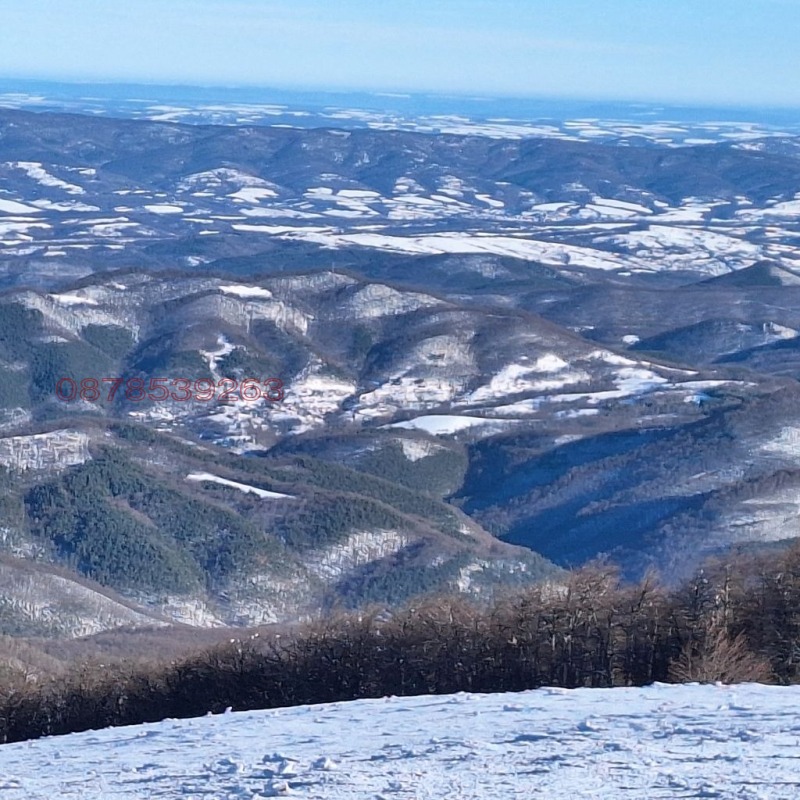 Продава ПАРЦЕЛ, с. Костел, област Велико Търново, снимка 14 - Парцели - 53422680