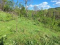 Продава ПАРЦЕЛ, с. Костел, област Велико Търново, снимка 6