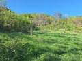 Продава ПАРЦЕЛ, с. Костел, област Велико Търново, снимка 10