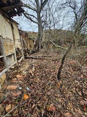 Casa Smiadovo, regiunea Shumen 1