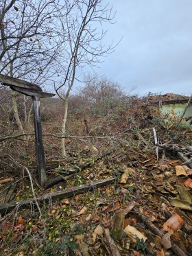 Hus Smyadovo, region Shumen 8