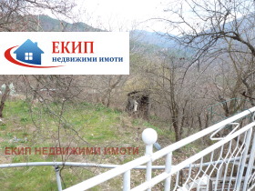 ����� ������� ����,�. �������, ������ �����