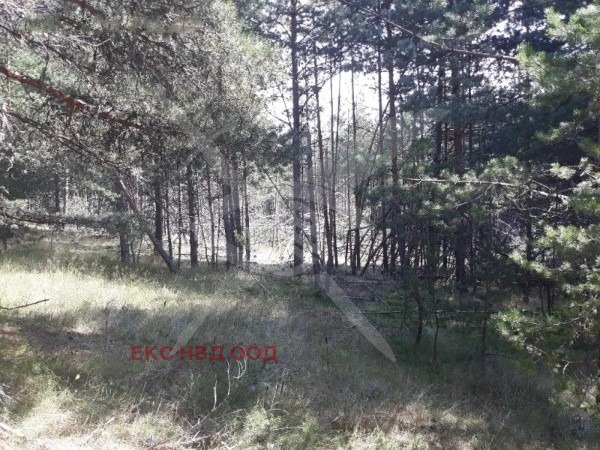 À venda  Trama região Smolyan , Studenec , 10756 m² | 86693824
