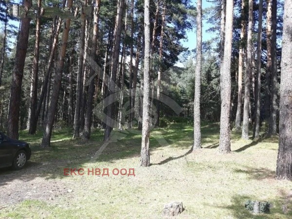 À venda  Trama região Smolyan , Studenec , 10756 m² | 86693824 - imagem [2]