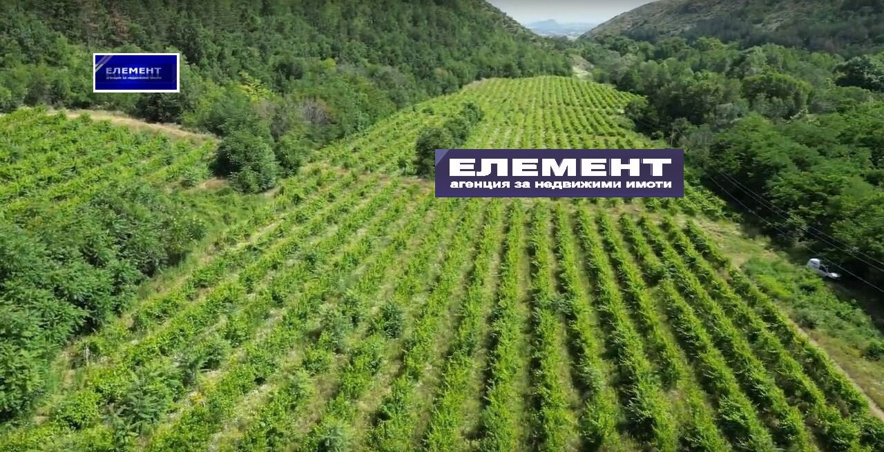 Продава ПАРЦЕЛ, с. Храбрино, област Пловдив, снимка 2 - Парцели - 50585903