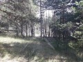 Продава ПАРЦЕЛ, област Смолян, с. Студенец • 55000 € • 18202893 — Holmes.bg