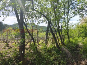 ������� ���������� ���� | Imot.bg � ����� ������ 3