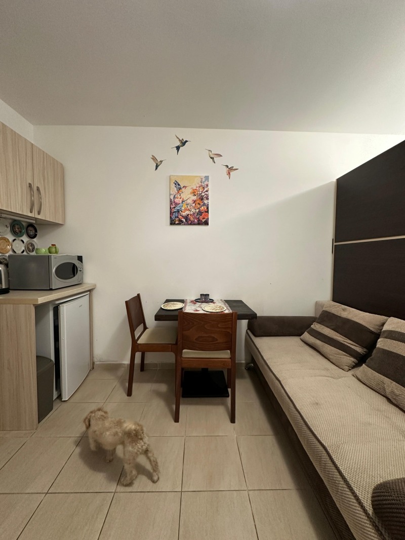 Продава  1-стаен област Бургас , к.к. Слънчев бряг , 29 кв.м | 12010970 - изображение [9]