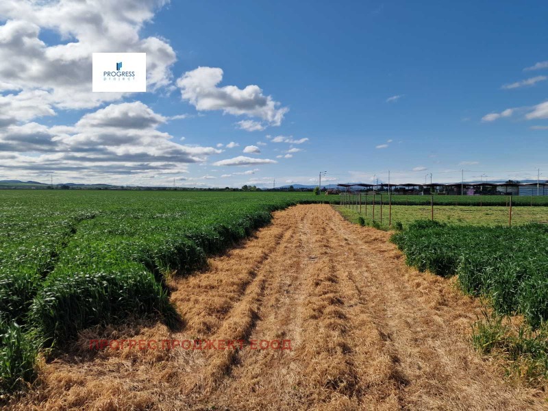 À vendre  Parcelle région Sofia , Bojourichte , 623 m² | 92170349 - image [2]