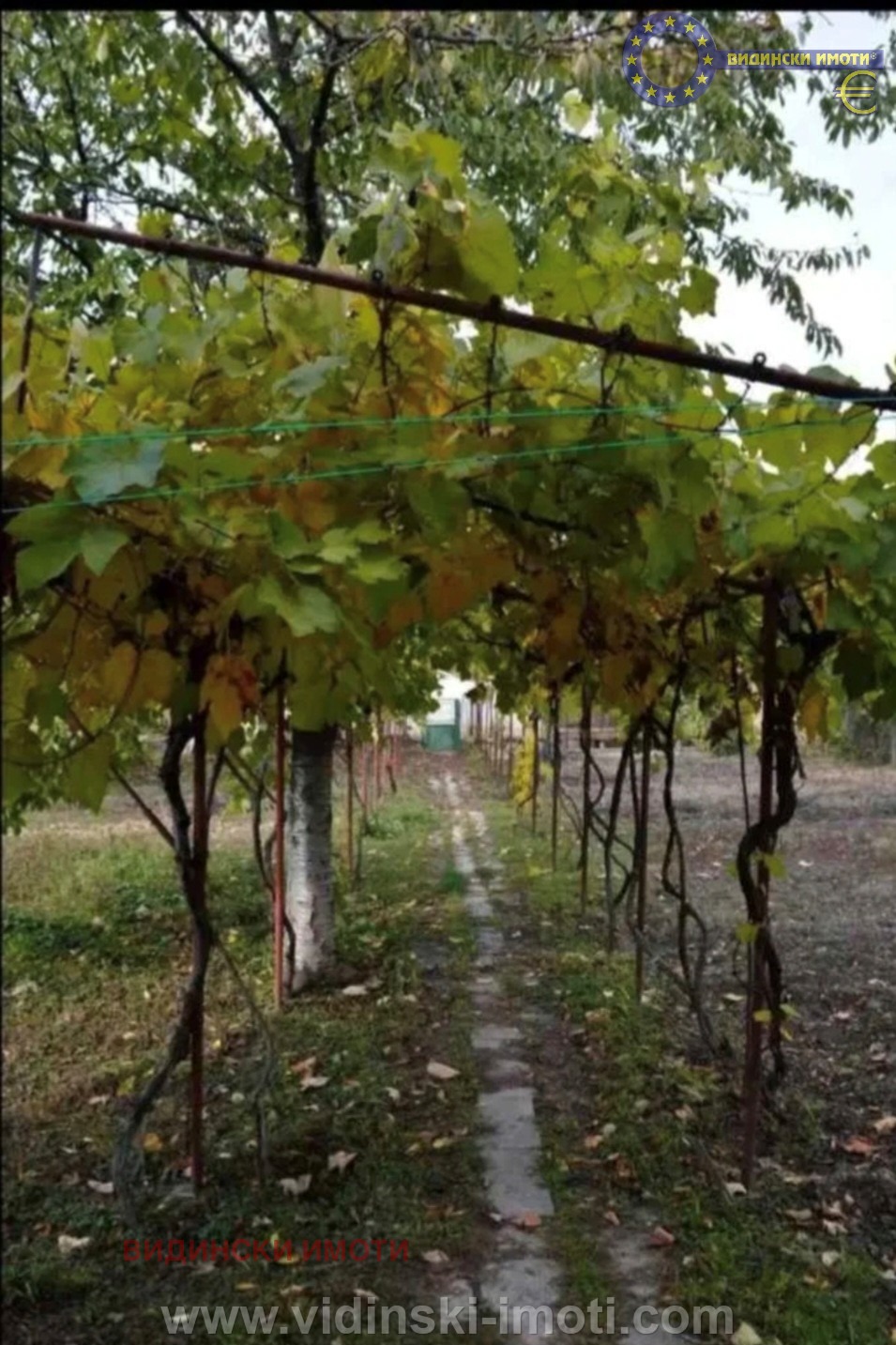 Продава КЪЩА, с. Държаница, област Видин, снимка 3 - Къщи - 56210275