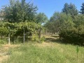 Продава КЪЩА, с. Божурица, област Плевен, снимка 3