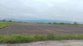 Продава ПАРЦЕЛ, с. Рогош, област Пловдив, снимка 1