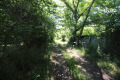 Продава ПАРЦЕЛ, гр. Русе, в.з. Русофили, снимка 3