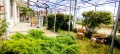 Продава КЪЩА, област Стара Загора, с. Сърнево • 110000 € • 87205081 — Holmes.bg