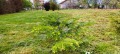 Продава КЪЩА, област Стара Загора, с. Сърнево • 110000 € • 87205081 — Holmes.bg