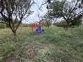 Продава  Къща област Шумен , с. Струино , 90 кв.м | 55735969 - изображение [9]