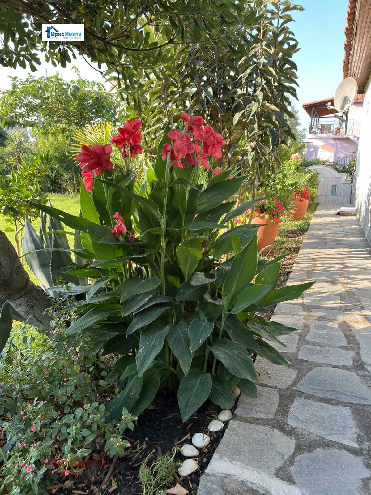 ������� ���� | Imot.bg � ����������� 9