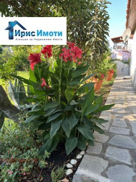 ������� ���� | Imot.bg � ����� ������ 9