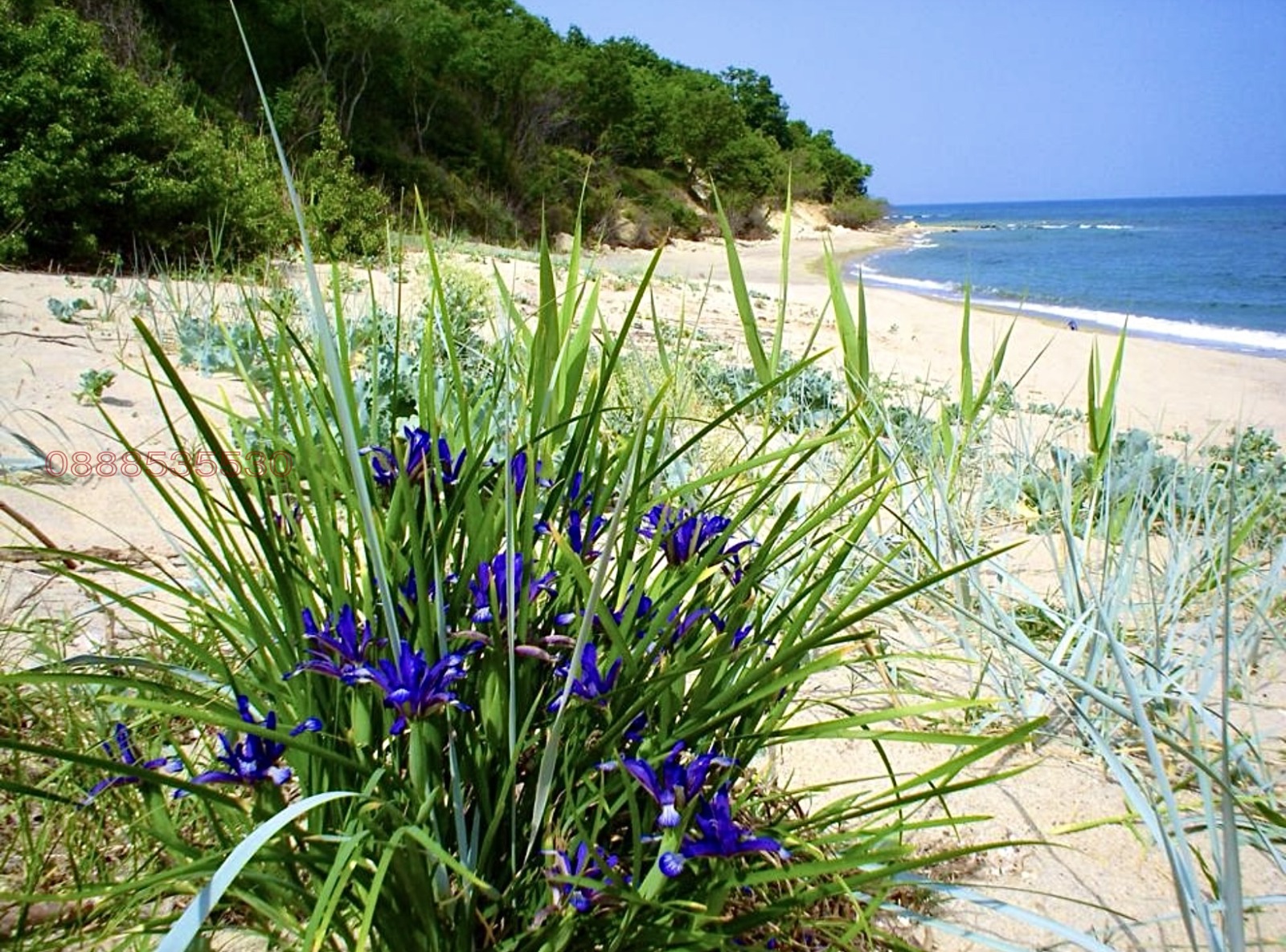 ������� ���� | Imot.bg � ����������� 10