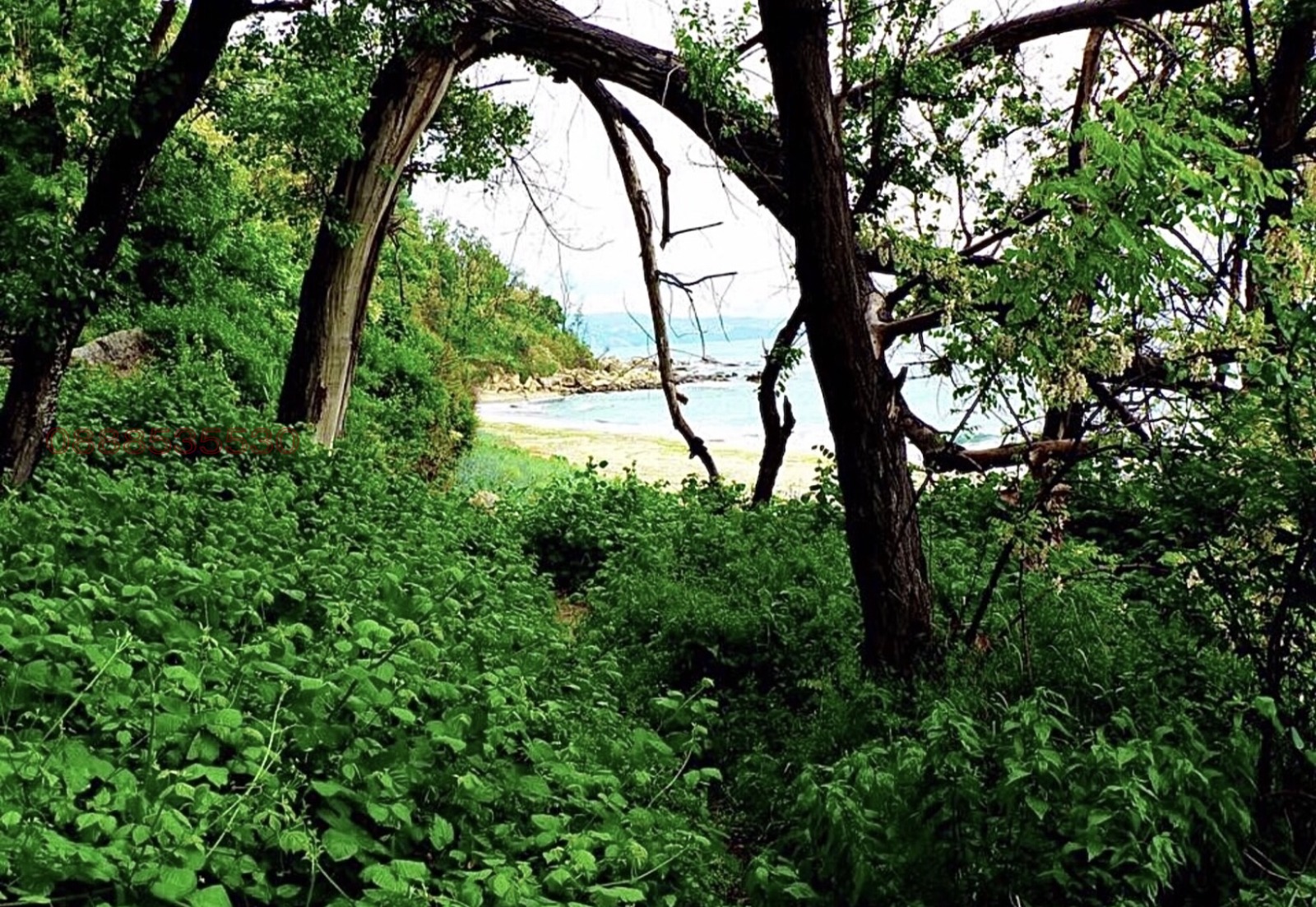 ������� ���� | Imot.bg � ����������� 11