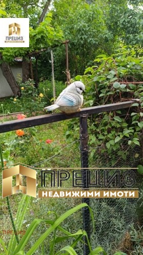 ������� ���� | Imot.bg � ����� ������ 5