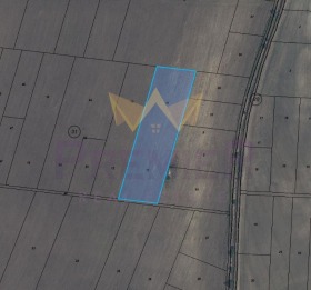 ����� ������� ���������� ����,�. �������, ������ �����