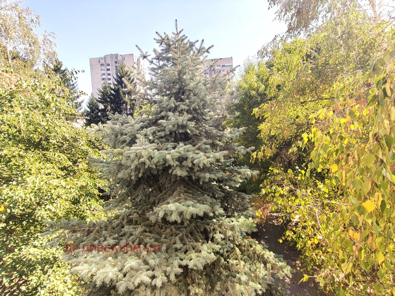 Продава  2-стаен град София , Лозенец , 71 кв.м | 45703181 - изображение [8]