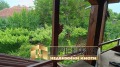 Продава КЪЩА, с. Златна нива, област Шумен, снимка 1