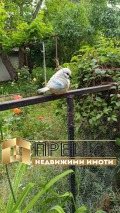 Продава КЪЩА, с. Златна нива, област Шумен, снимка 5