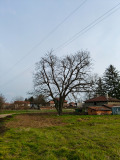 Продава КЪЩА, с. Капитановци, област Видин, снимка 9