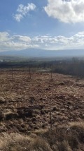 Продава ПАРЦЕЛ, с. Долна Диканя, област Перник, снимка 2