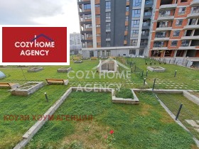 ����� ������� 2-�����,���� �����, �������� 2