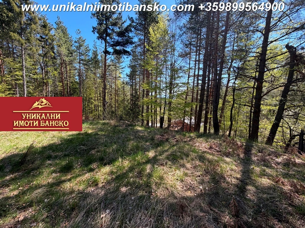 Продава ПАРЦЕЛ, гр. Разлог, област Благоевград, снимка 2 - Парцели - 54344237