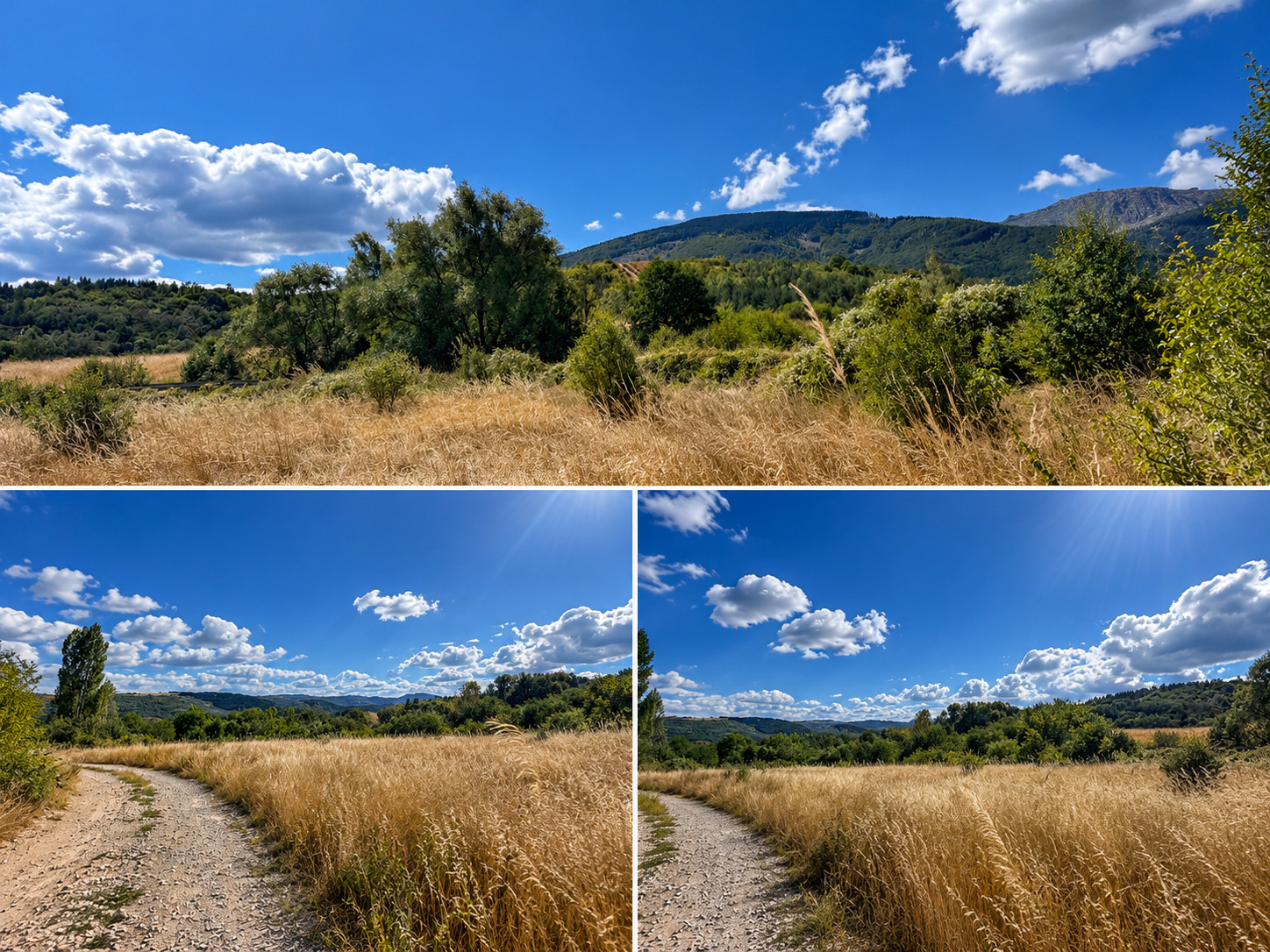 ������� ������ | Imot.bg � ����������� 1